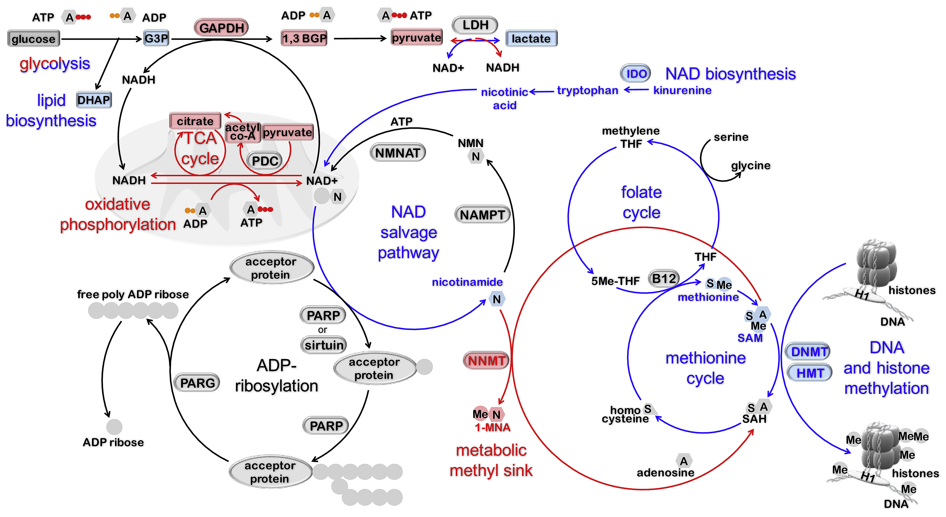 FIGURE 3.