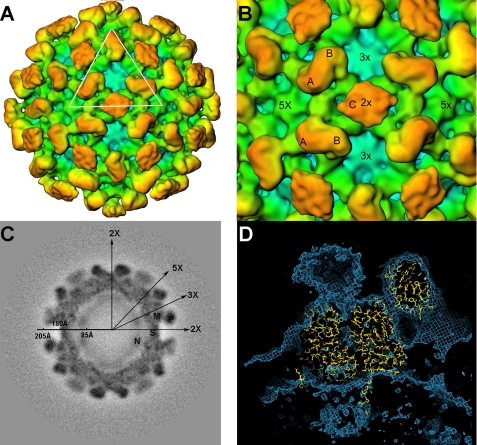 FIGURE 2.