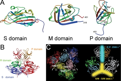 FIGURE 3.