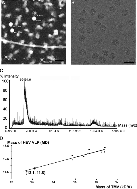 FIGURE 1.