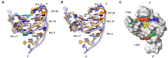 Figure 2.