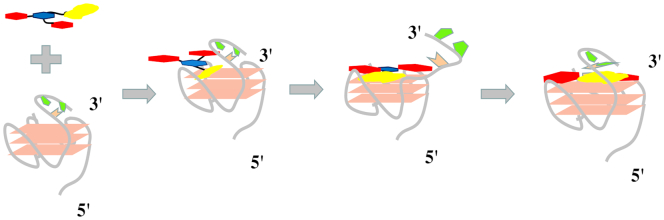 Figure 11.