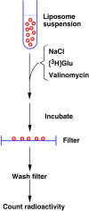 Fig. 5