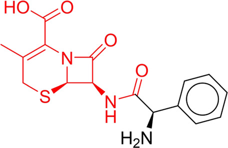 graphic file with name FPHAR_fphar-2024-1431941_wc_tfx4.jpg