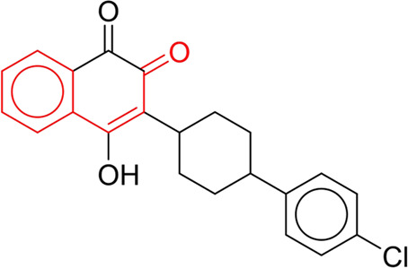 graphic file with name FPHAR_fphar-2024-1431941_wc_tfx14.jpg