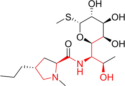 graphic file with name FPHAR_fphar-2024-1431941_wc_tfx22.jpg