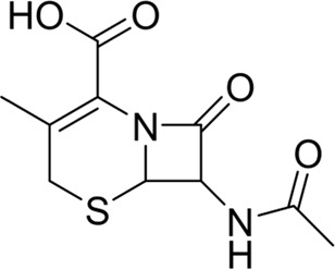 graphic file with name FPHAR_fphar-2024-1431941_wc_tfx3.jpg