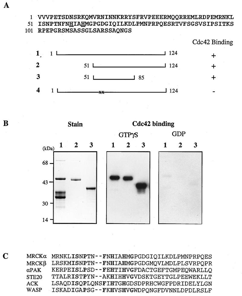 FIG. 1