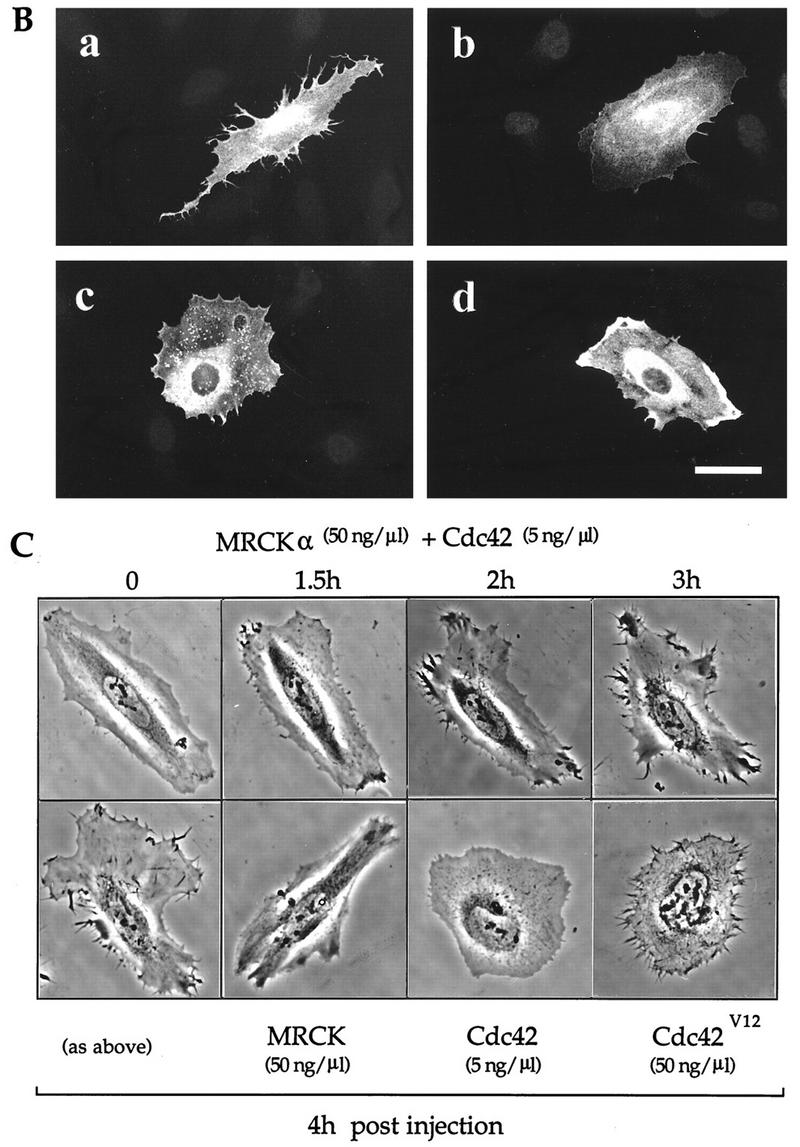 FIG. 6