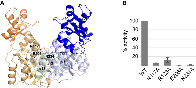 FIGURE 7.