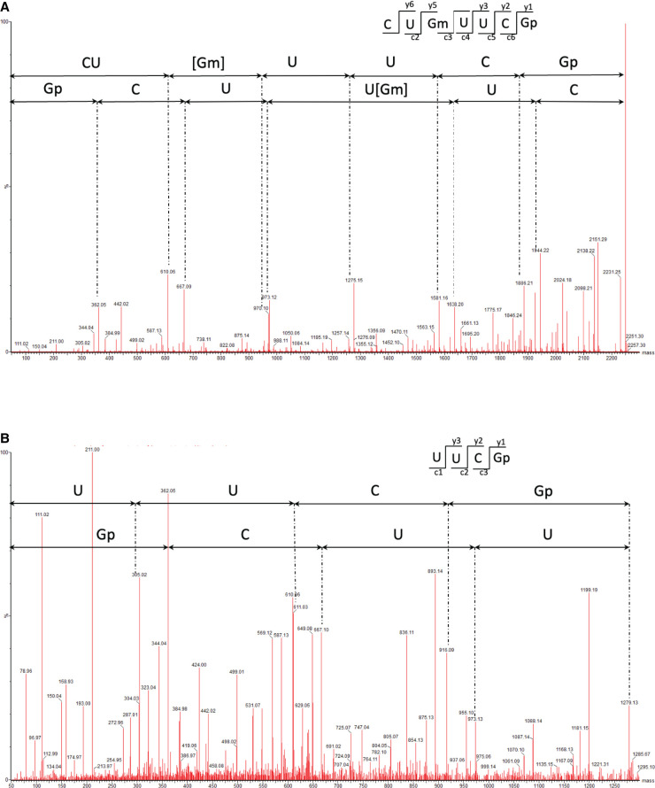 FIGURE 4.