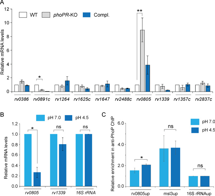 graphic file with name elife-105750-fig3.jpg