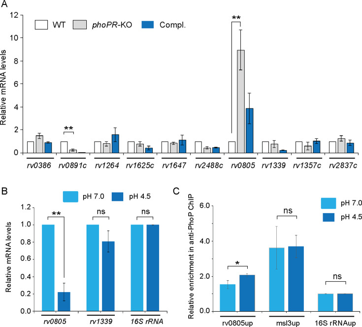 graphic file with name elife-105750-fig4.jpg