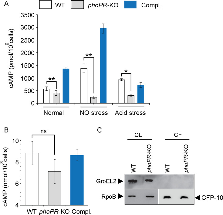 graphic file with name elife-105750-fig1.jpg