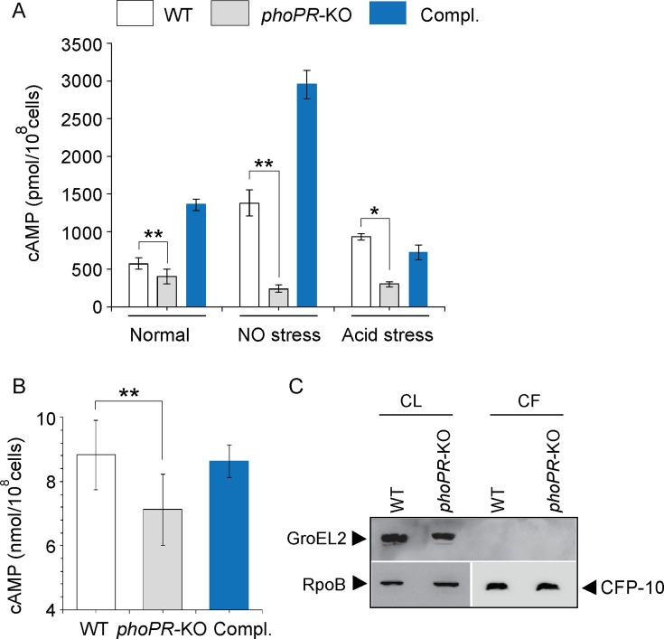 graphic file with name elife-105750-fig2.jpg