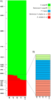 Figure 5.