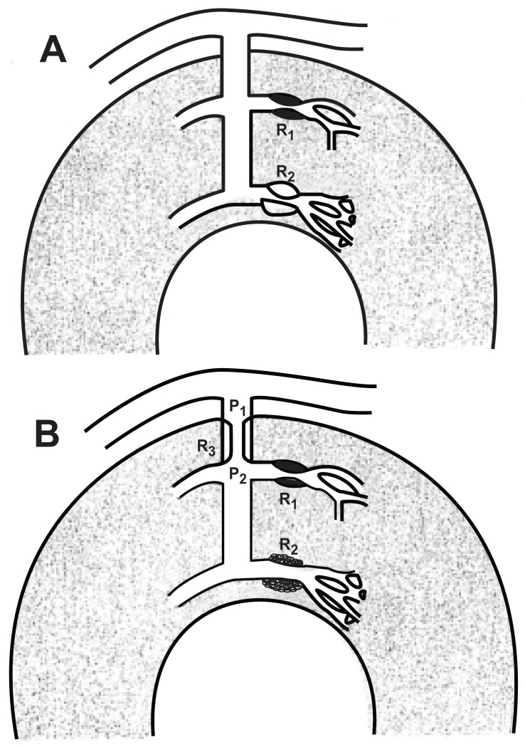 Fig. (5)