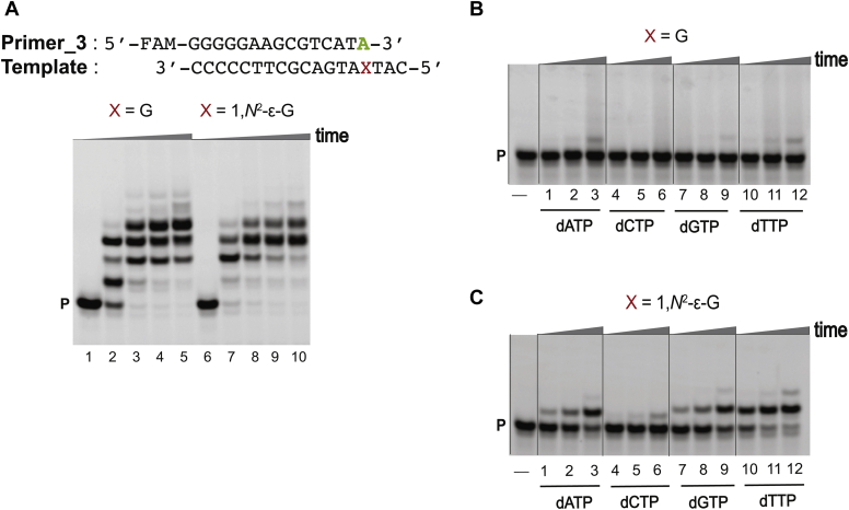 Figure 5