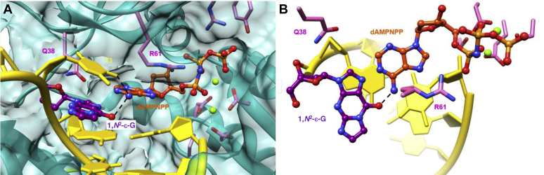 Figure 7