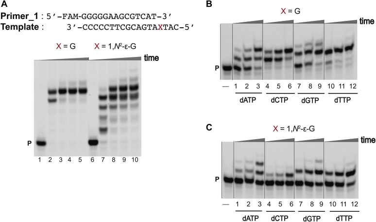 Figure 3