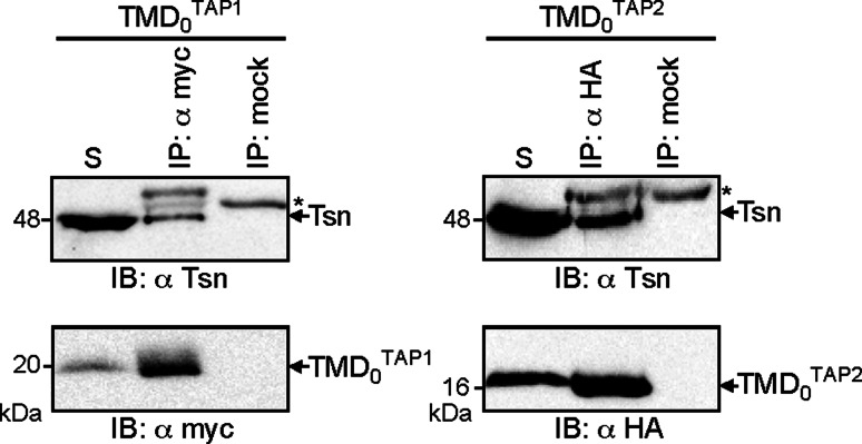 Fig. 4