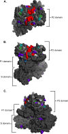 Fig 2