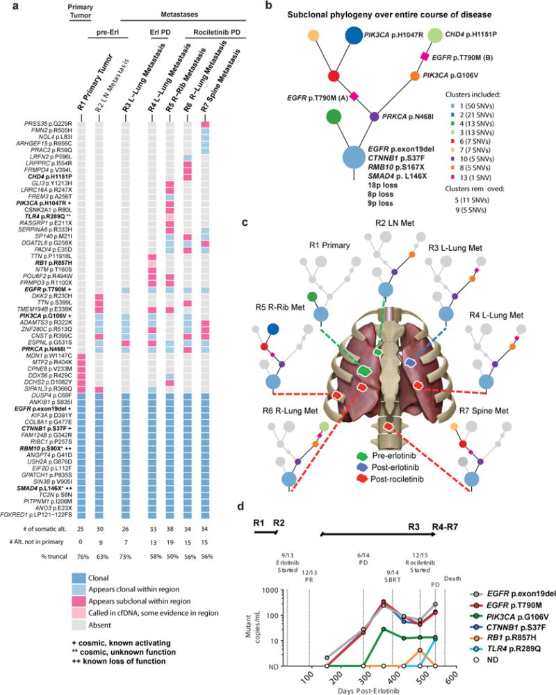 Evolution and clinical impact of co-occurring genetic alterations in ...