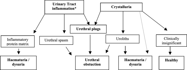 Fig 2.
