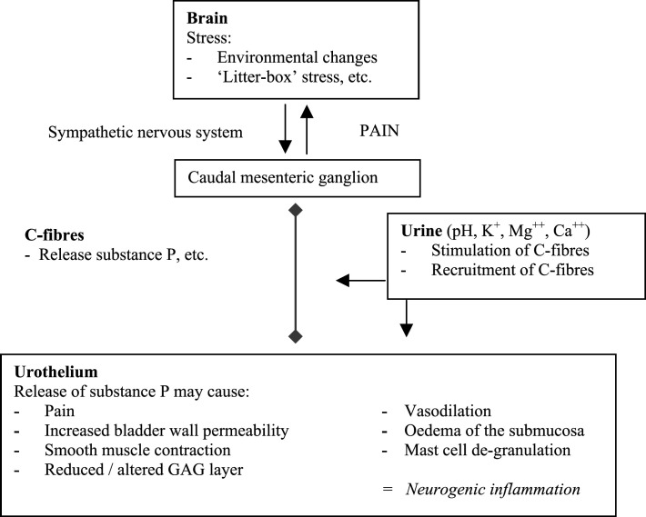 Fig 1.