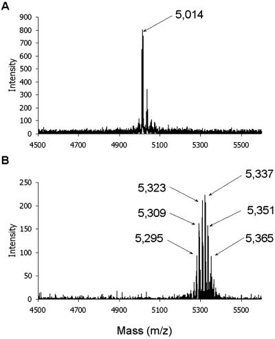 Fig 1.