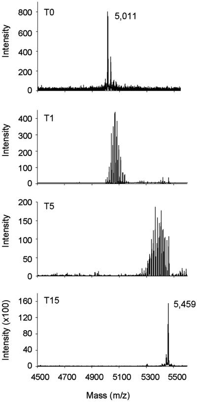 Fig 3.