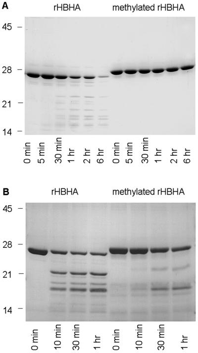 Fig 6.