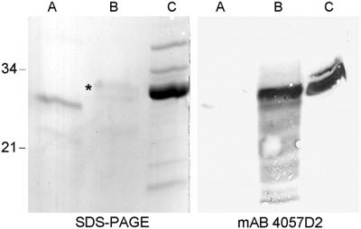 Fig 5.