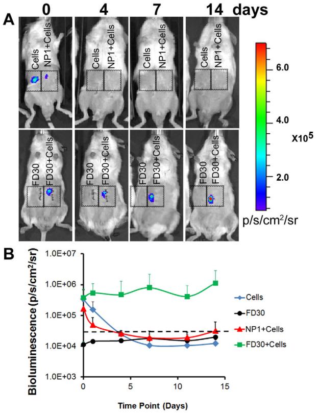 Figure 5