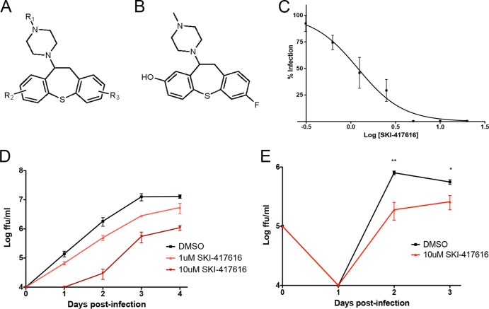 FIG 1