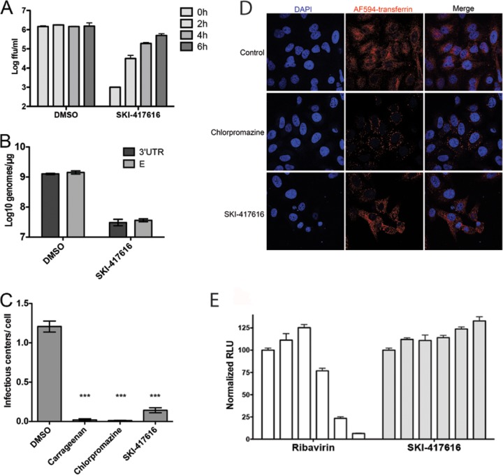 FIG 3