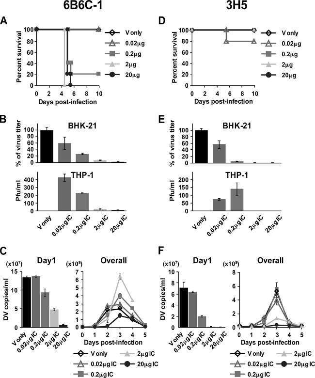 FIG 2