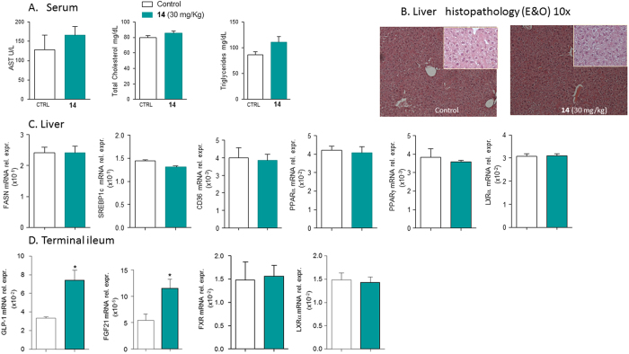 Figure 13