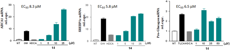 Figure 12