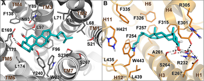 Figure 14