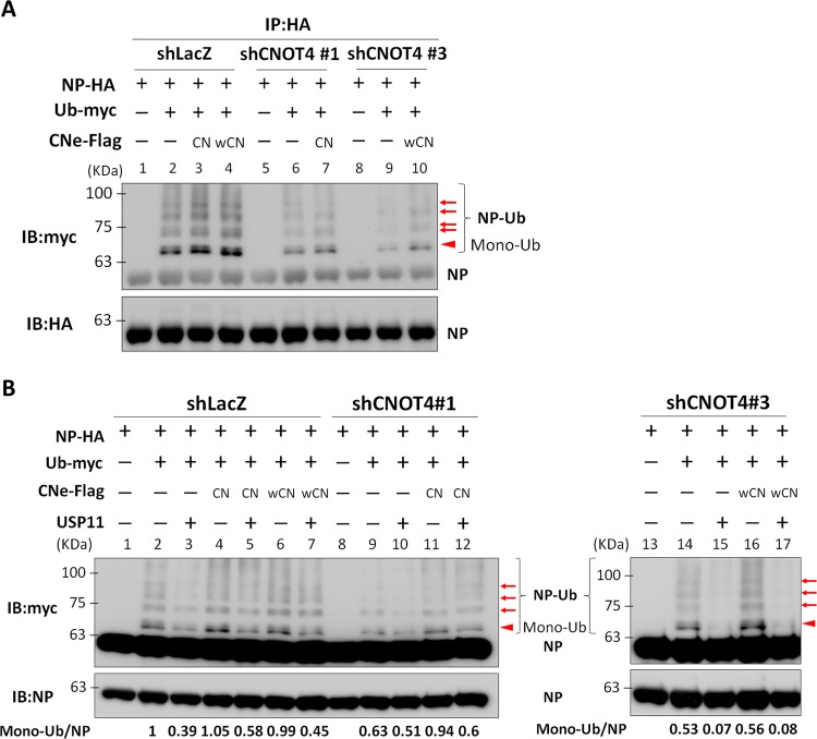 FIG 3 