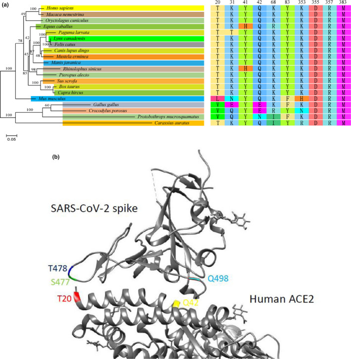 FIGURE 3