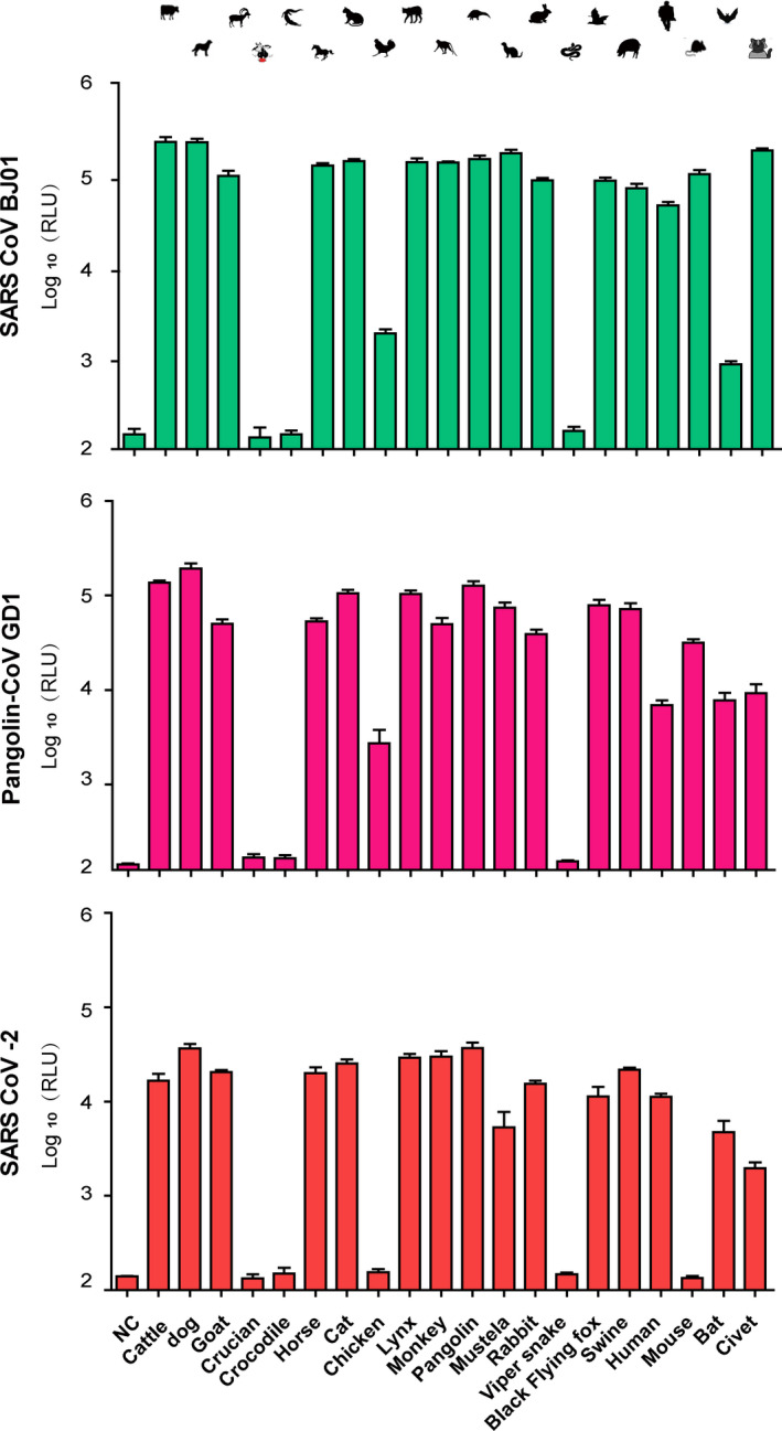 FIGURE 2