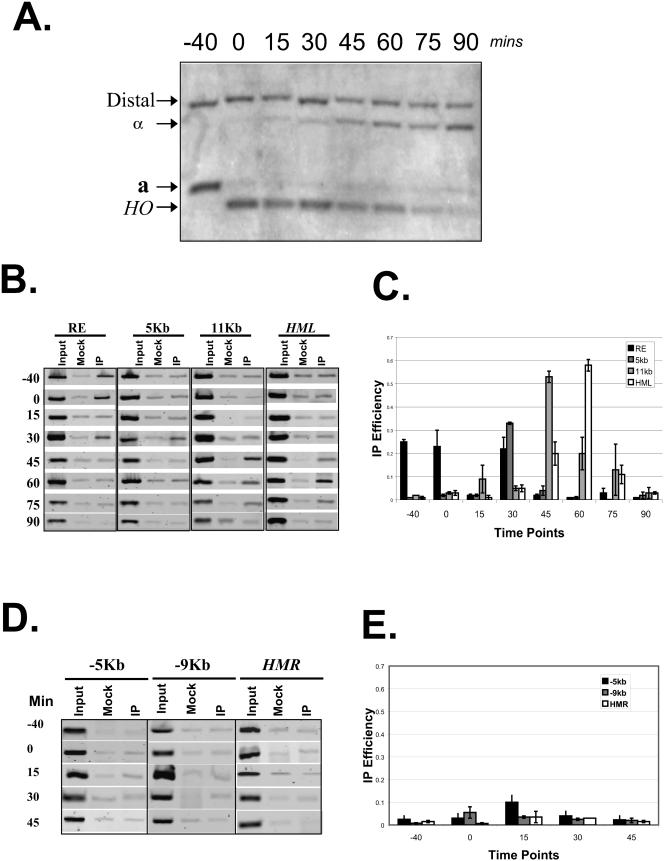 FIG.5.