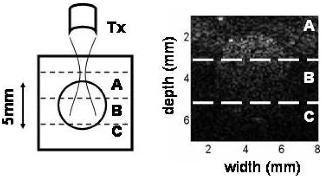 Fig. 13