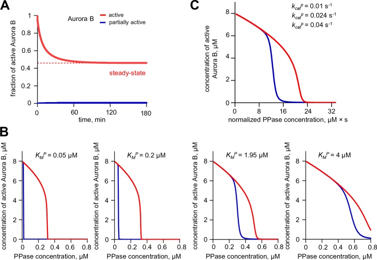 Figure 3—figure supplement 1.