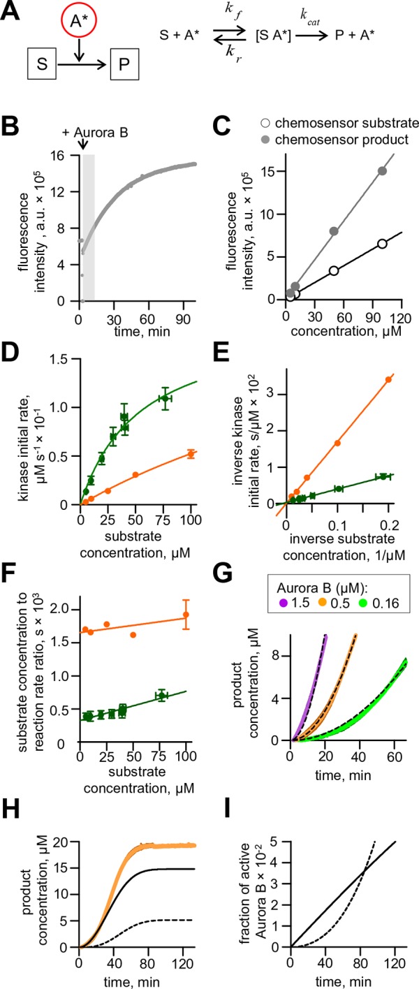 Figure 2—figure supplement 2.