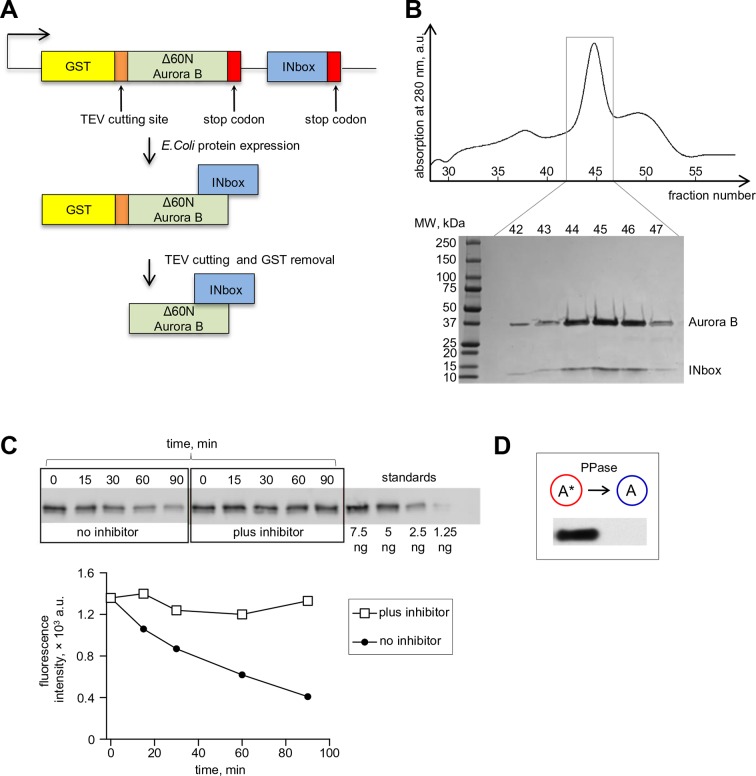 Figure 2—figure supplement 1.