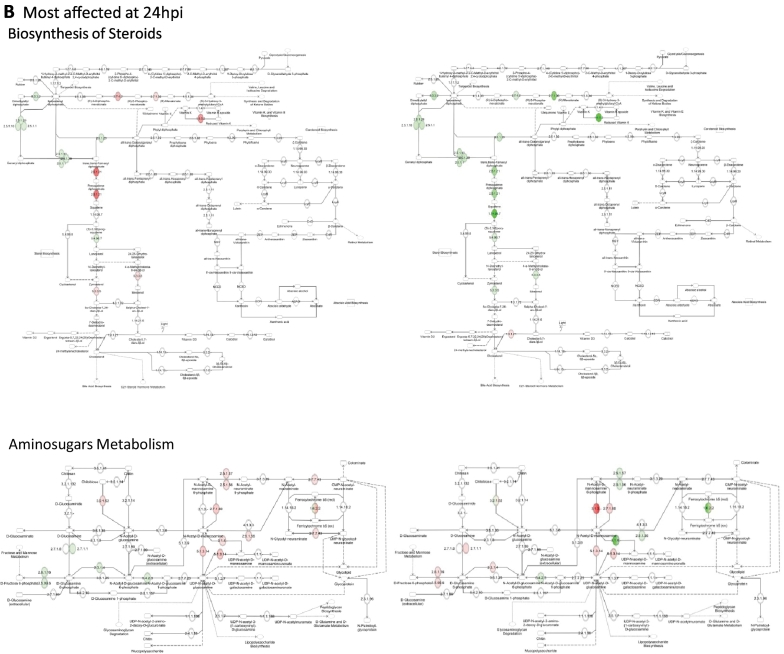 Supplementary Fig. S2