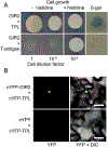 Fig. 2.